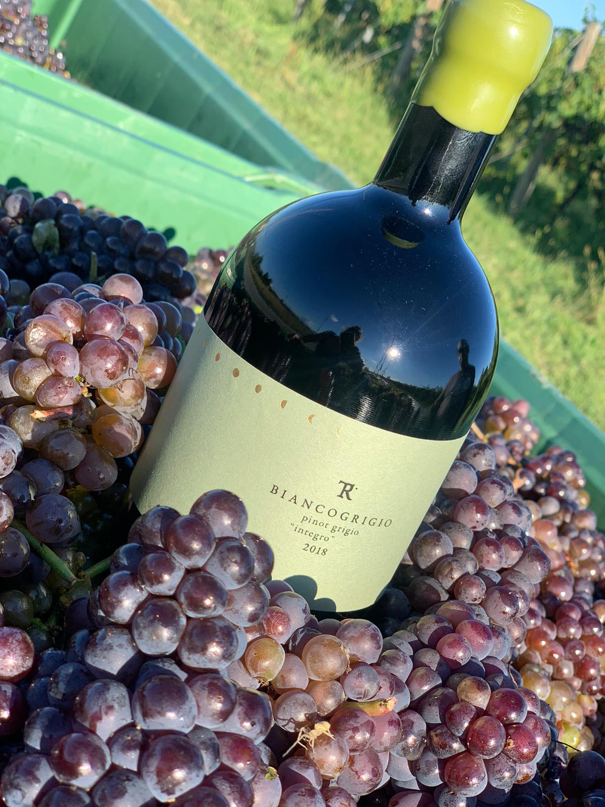 Italo Cescon Tesirare Biancogrigio "Integro" 2021 (JS:92)  (Organic Wine)