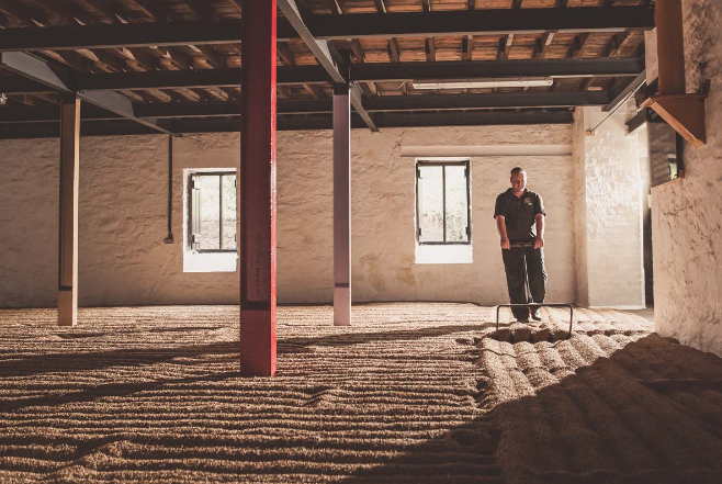 Springbank 10 Year Old