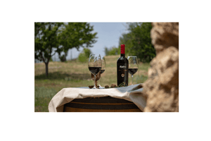 Domaine Bessa Valley Enira Reserva 2018 <br>配黑毛豬叉燒