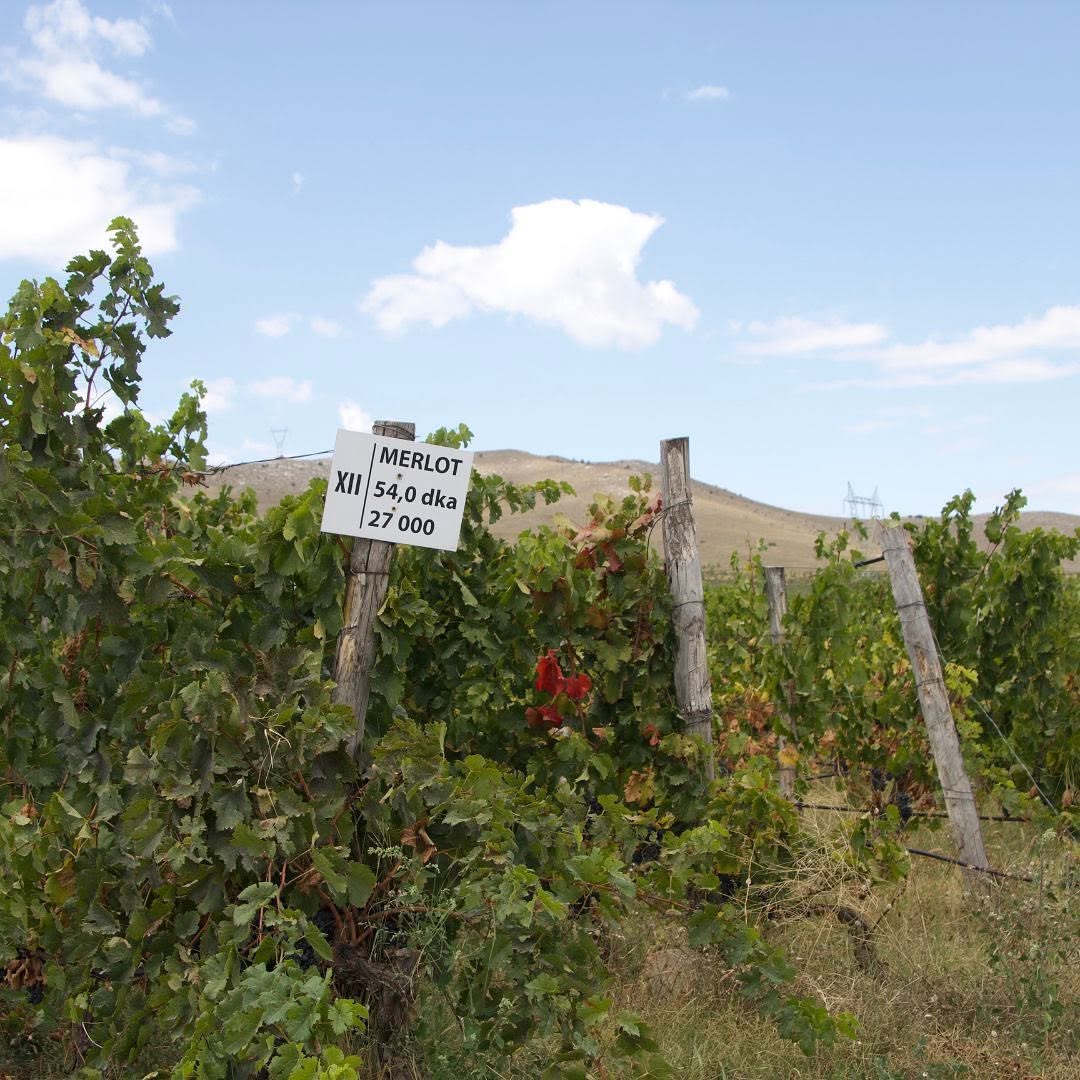 波爾多『加菲貓』莊主保加利亞出品 - Domaine Bessa Valley Petit Enira 2020