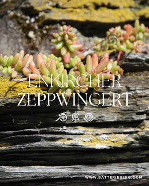 Mosel經典Cru（超過100年老藤，無接枝） - Weingut Immich-Batterieberg "Enkircher Zeppwingert" Riesling 2017 (RP: 95+)