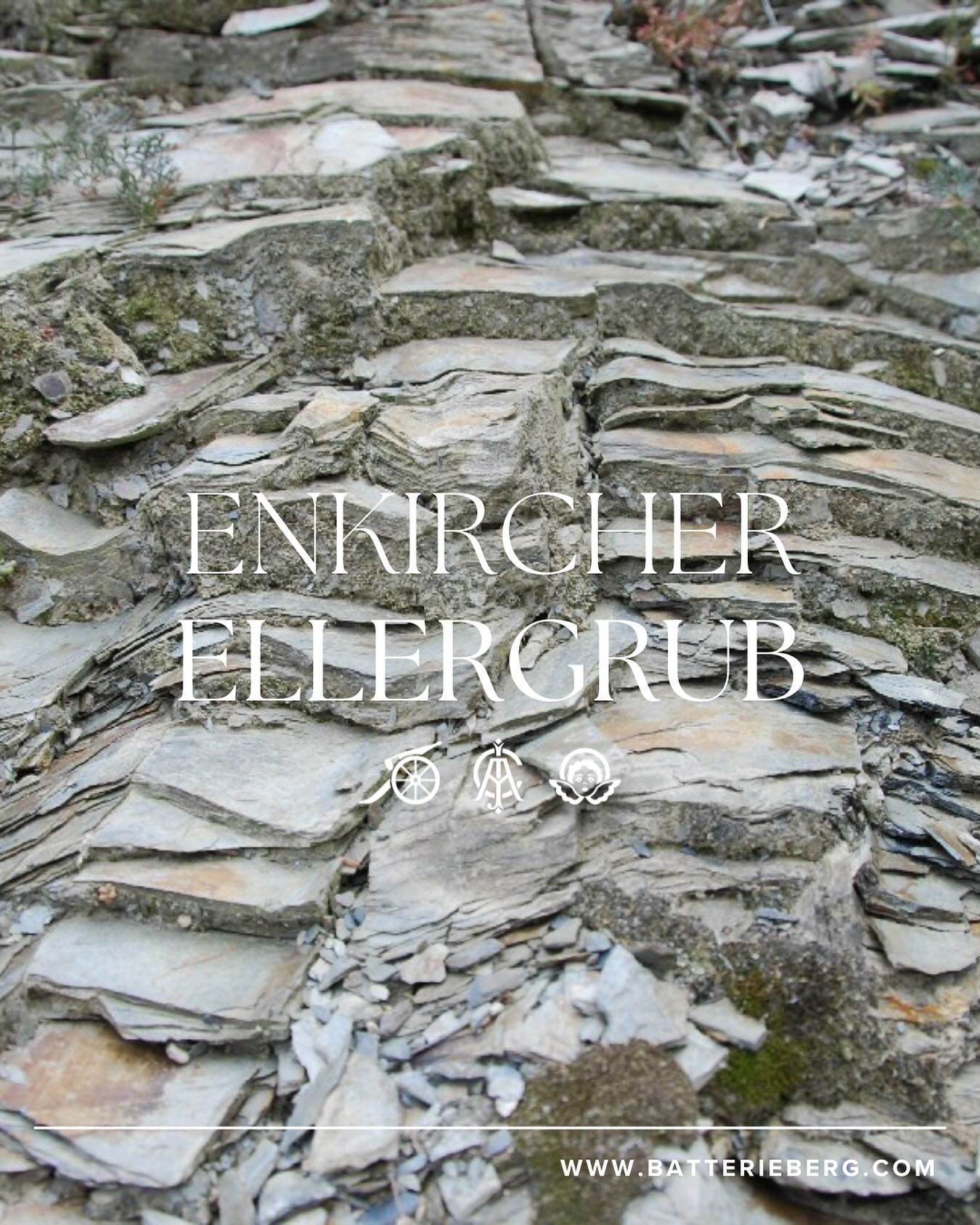 Mosel經典藍板岩Cru（80年老藤，無接枝） - Weingut Immich-Batterieberg "Enkircher Ellergrub" Riesling 2016 (RP:92, JS:96)