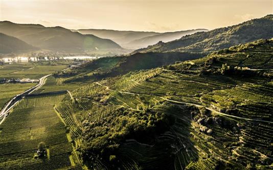 奧地利明日之星 - Pichler Krutzler "Loibenberg" 2022 Riesling (Falstaff: 96-98)