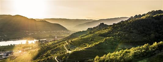 Pichler Krutzler Grüner Veltliner "Kellerberg" Late Bottled Vintage 2019 (Falstaff: 98)