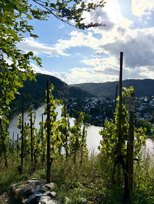 Weingut Immich-Batterieberg "Detonation" Riesling 2021 (RP: 91+)
