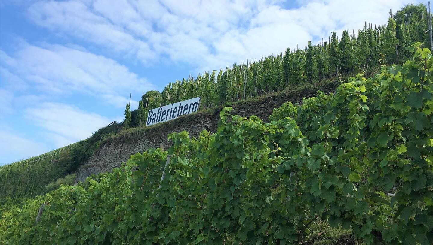 包含 Batterieberg Cru 80年無接枝老藤混釀 - Weingut Immich-Batterieberg "Escheburg" Riesling 2020 (RP: 93+, JS:94)