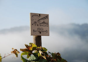 Mosel經典Cru （超過100年老藤，無接枝) - Weingut Immich-Batterieberg "Zeppwingert Reserve" Riesling 2023 (JS: 100, RP: 97)