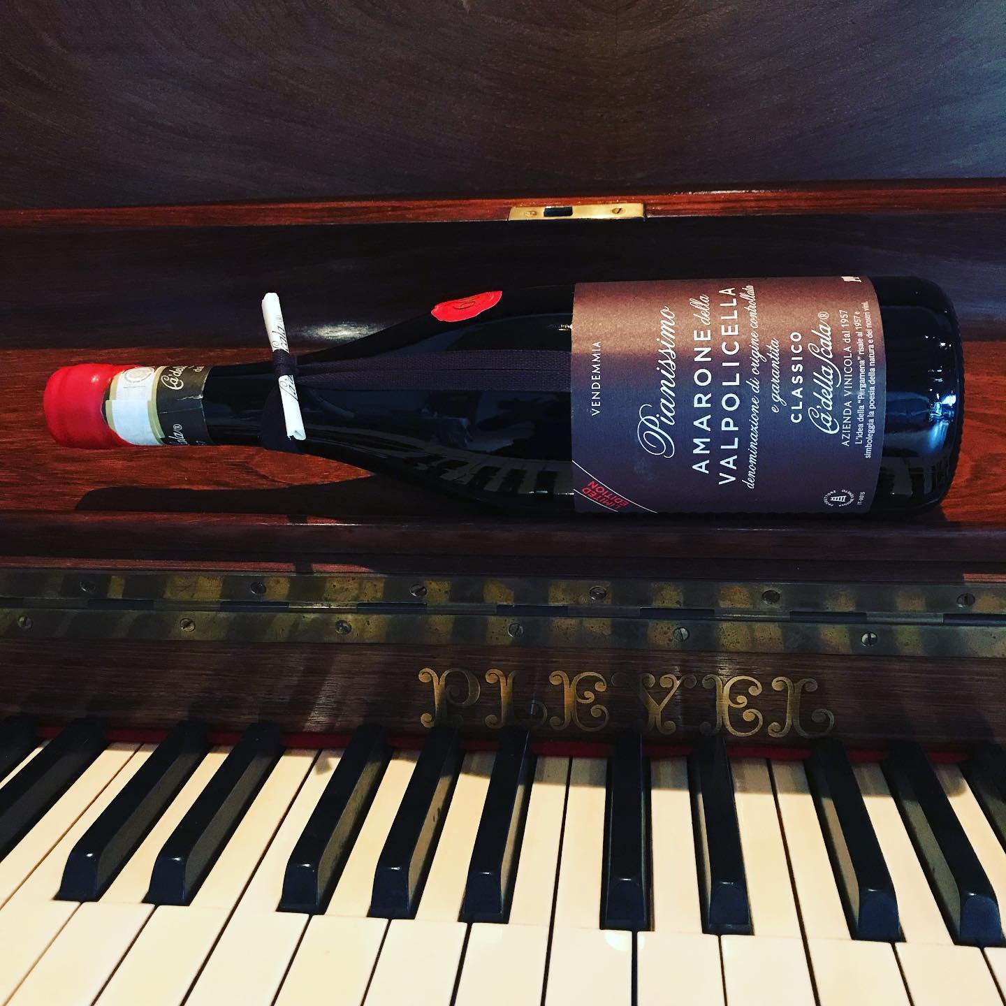 Italo Cescon Ca'Della Scala Pianissimo Amarone della Valpolicella 2017
