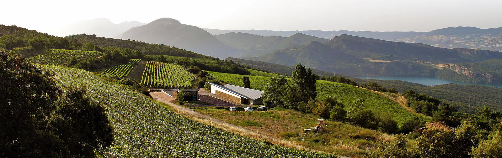 神之水滴『十一門徒 夕陽』釀酒師Raul Bobet力作 －Castell d' Encus Taika 2012 (RP:90+)