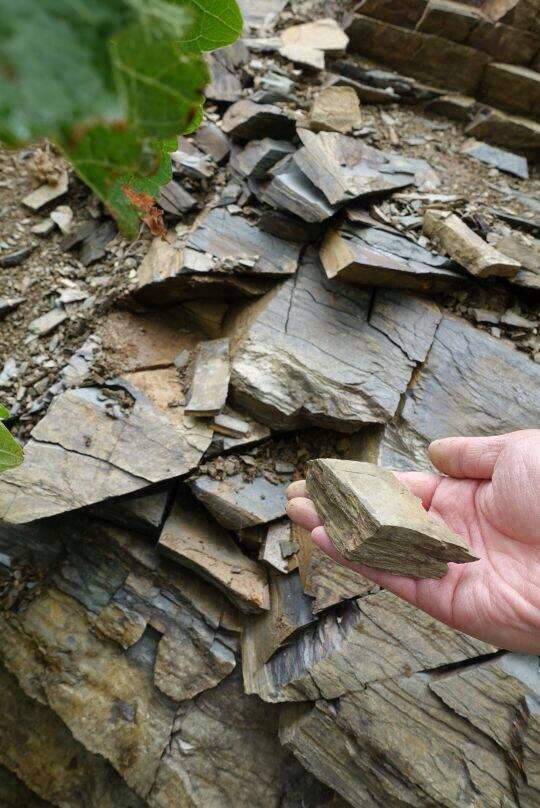 神之水滴『十一門徒 夕陽』的入門版 － Ferrer Bobet Vinyes Velles 2012 (RP:93) / 2014 (RP:94; JS:94) / 2015 (RP:92; JS:94) / 2016 (RP:94;JS:95)